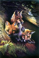 Three Musketeers Fine Art Print