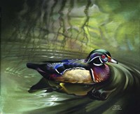 Woodie Fine Art Print