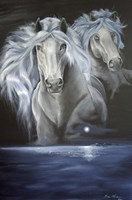 Enchanted Moonlight Dreams Fine Art Print