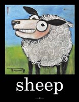 Sheep Poster Fine Art Print