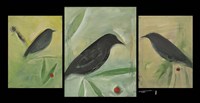 Birds And Berries Triptych Fine Art Print