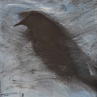 Blackbird In Wind Fine Art Print
