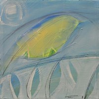 Carribean Bird Fine Art Print