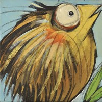 Feather Bird 25 Fine Art Print