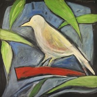 Perch Naturale Fine Art Print