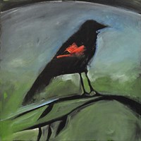 Redwing Framed Print