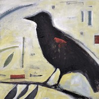 Redwing No. 3 Fine Art Print