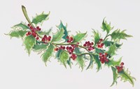 Holly Fine Art Print