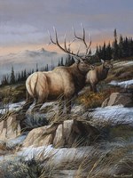 Cool Autumn Fine Art Print