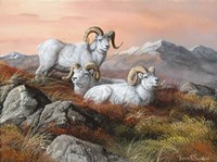 Denali Trio Fine Art Print