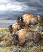 Distant Thunder Fine Art Print