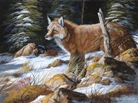 Forest Flame Fine Art Print