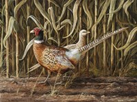 From Cover Fine Art Print