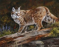 Glancing Back Fine Art Print