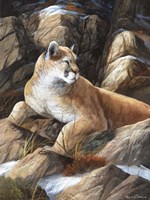 Last Warm Rays Fine Art Print