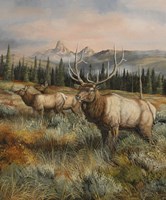 October Gathering Fine Art Print