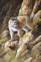 Perfect Camouflage Fine Art Print