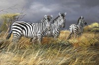 Rainy Season Fine Art Print