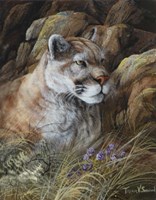 Relaxed But Attentive Fine Art Print