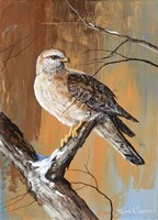 Remnants Of Snow Fine Art Print