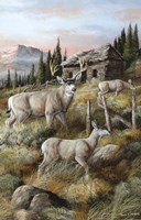 Remnants Of The Old Field Fine Art Print