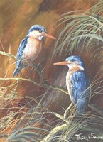 Resting Fishers Fine Art Print