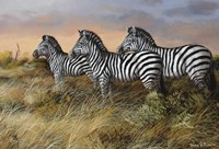 Serengeti Sunset Fine Art Print