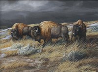 Storm Remnants Fine Art Print