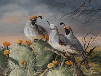 Stormy Spring Fine Art Print