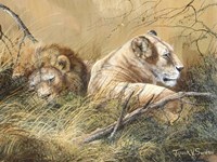 Warm Afternoon Fine Art Print