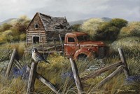 Well Worn Perch Fine Art Print