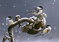 Winter Trio Fine Art Print