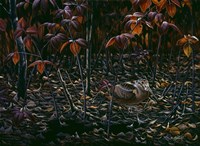 The Woodcocks World Fine Art Print