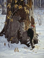 Working The Base Fine Art Print