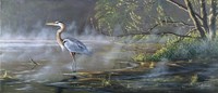 Quiet Cove - Great Blue Heron Fine Art Print