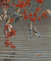 Autumn Harvest - Cedar Waxwing Fine Art Print
