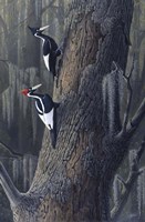 Legends Of The Pearl Fine Art Print