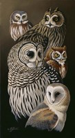 Eyes Of The Night - Owls Fine Art Print