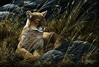 Cougar In The Grass Fine Art Print