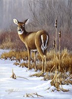 On Alert Fine Art Print