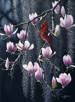 Southern Cheer - Cardinal Fine Art Print
