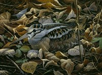 Sitting Tight Fine Art Print