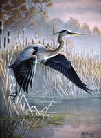 Secluded Cove Fine Art Print