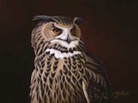 Eagle Owl Fine Art Print