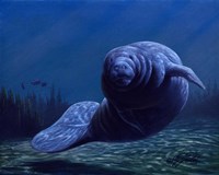 Face To Face Fine Art Print