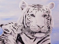 White Tiger and Cub Fine Art Print