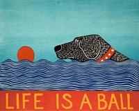 Life is a Ball Black Fine Art Print