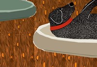 A Faux Paw Fine Art Print