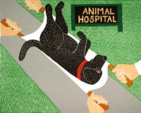 Animal Hospital Fine Art Print