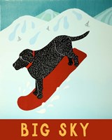 Big Sky Snowboard Black Fine Art Print